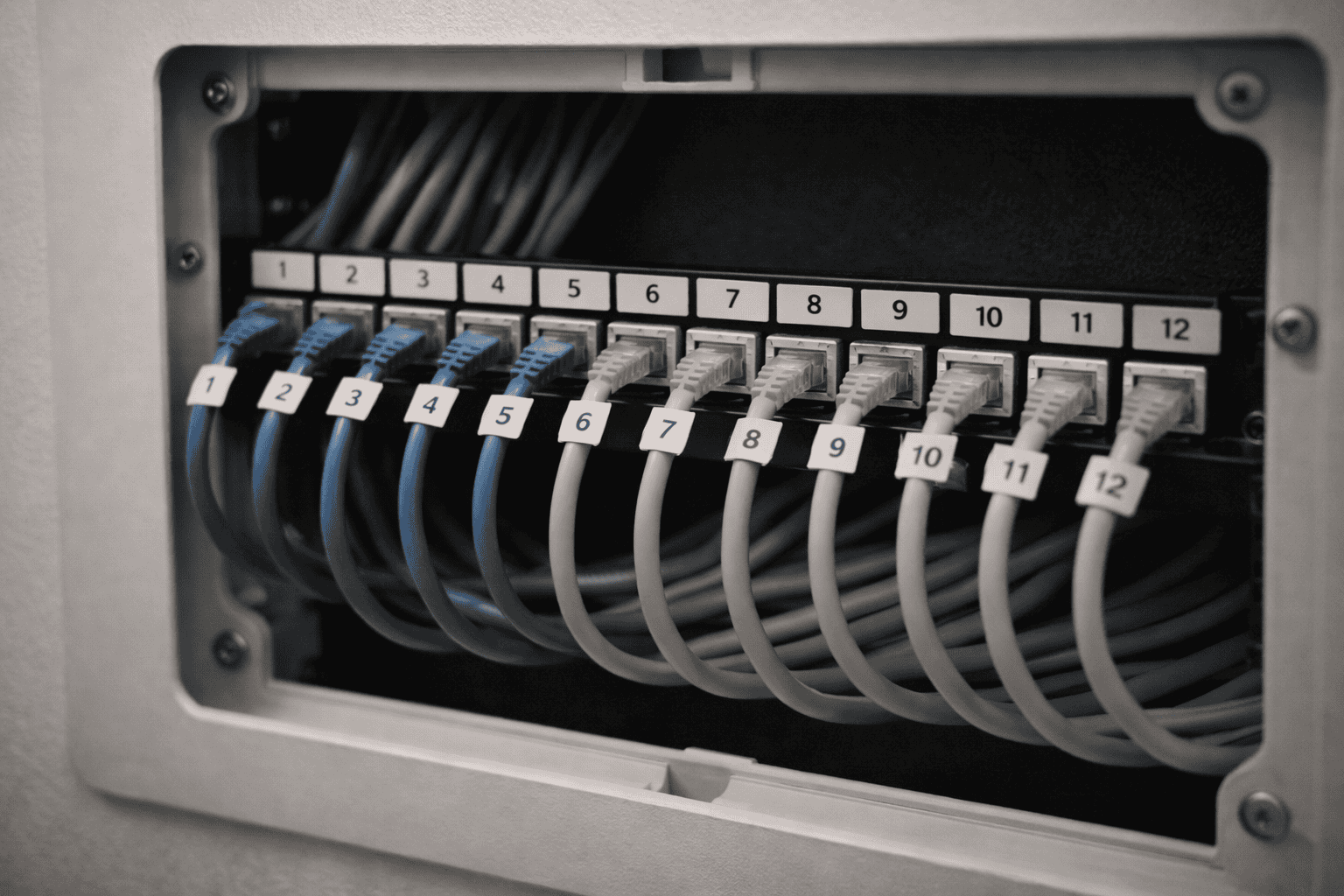 Structured Cabling Cost in the Bay Area: An Honest Breakdown